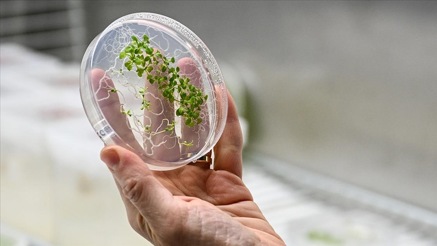 ilk deneyi uzayda tarım çalışmalarına yön verecek