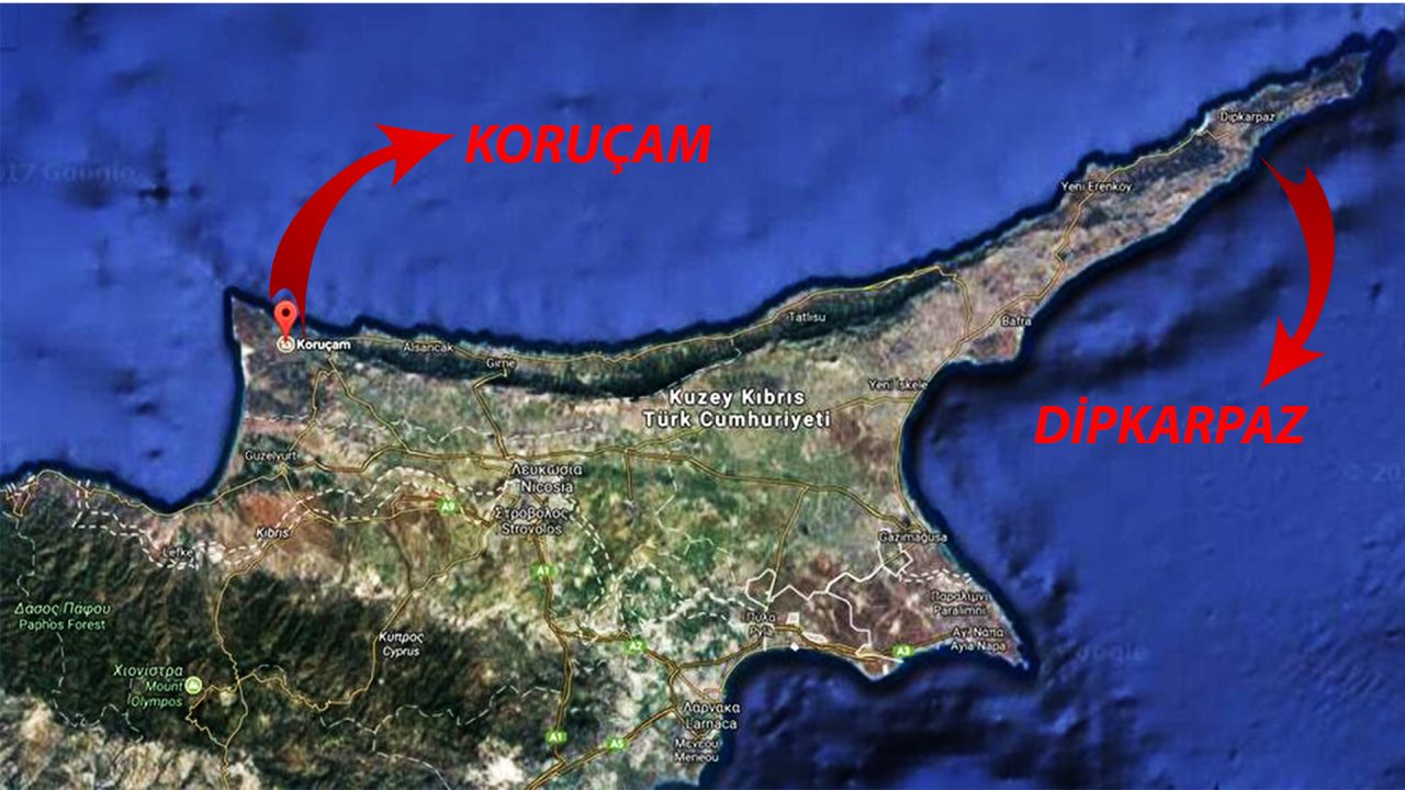 Korucam-ve-Dipkarpaz-1280x720.jpg
