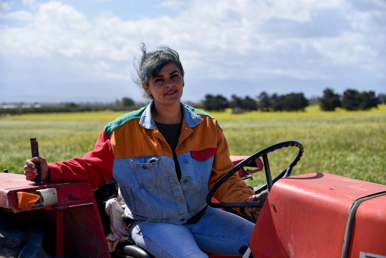 409083968_825384046300260_5677536000178241158_n