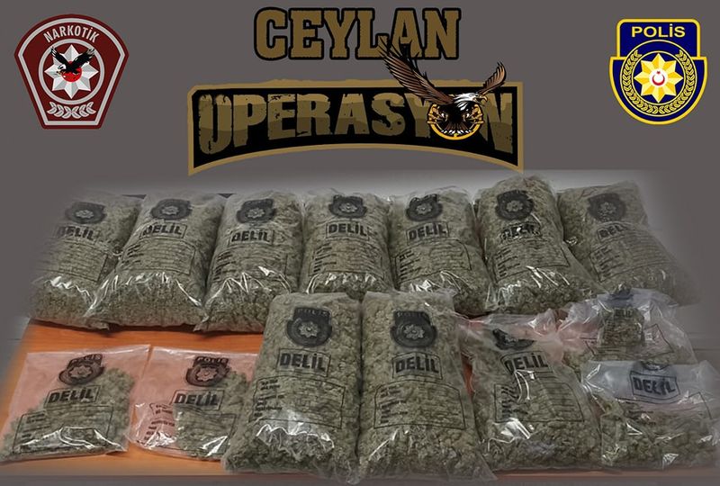 433588677_397174263050565_7705470725974640488_n