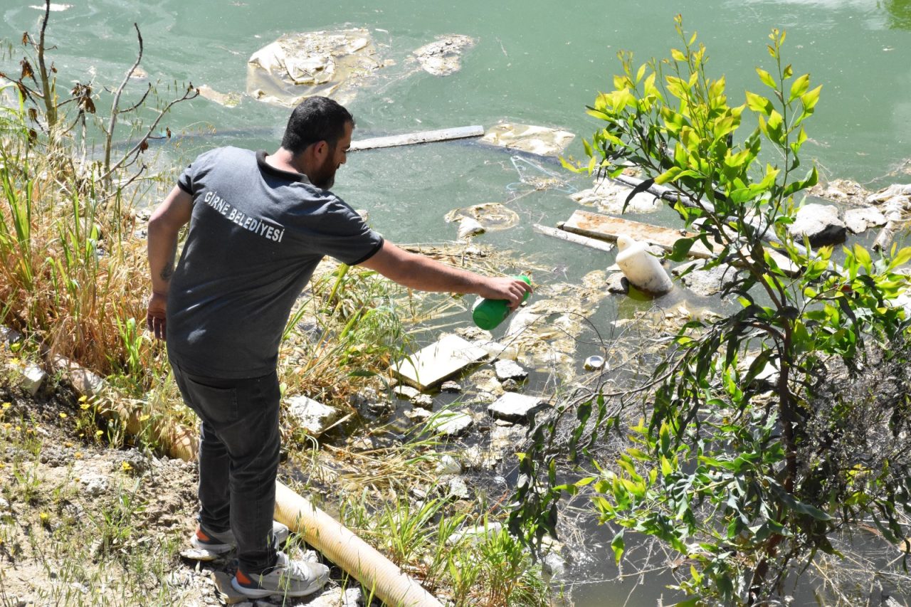 435926927_831511915667140_8382815896879524242_n