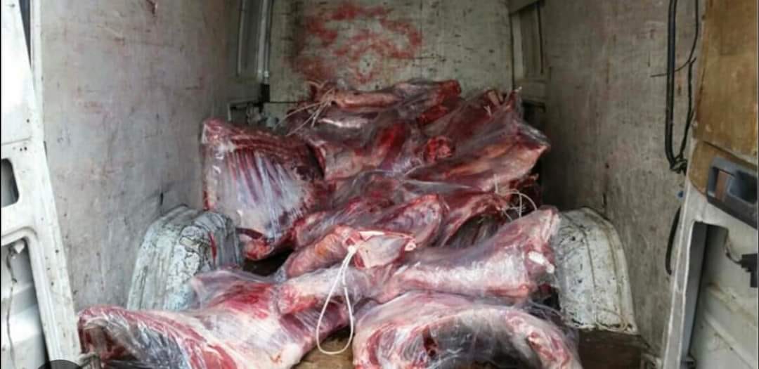 448759213_10160317600248020_3428433424562425087_n