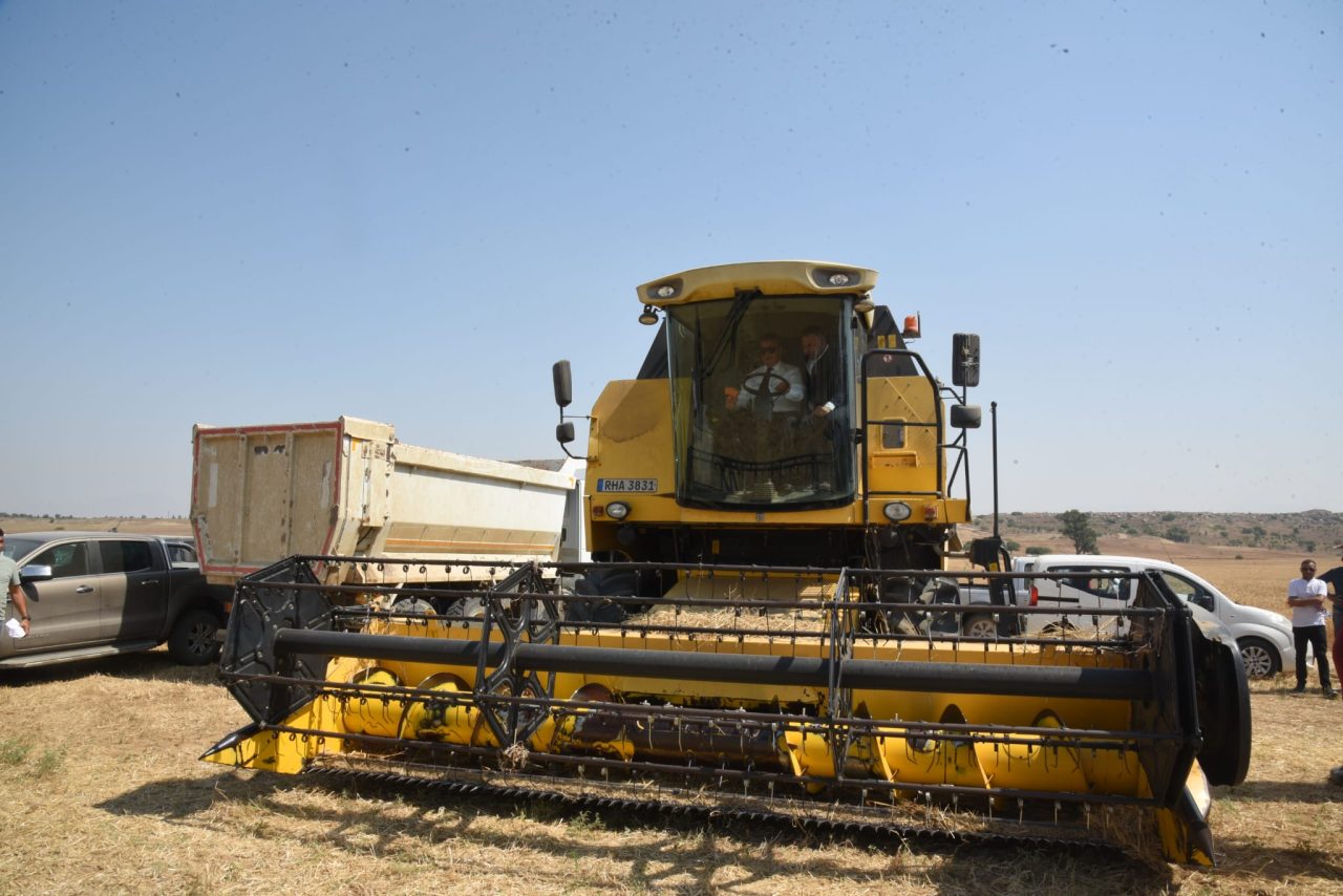 tahil-hasat-ero--8-1