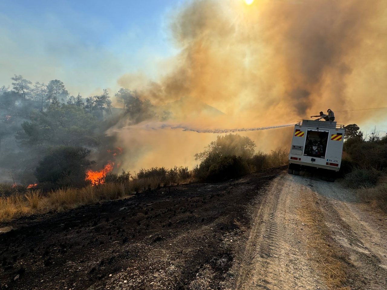 img-20240707-wa0068 img-20240707-wa0068