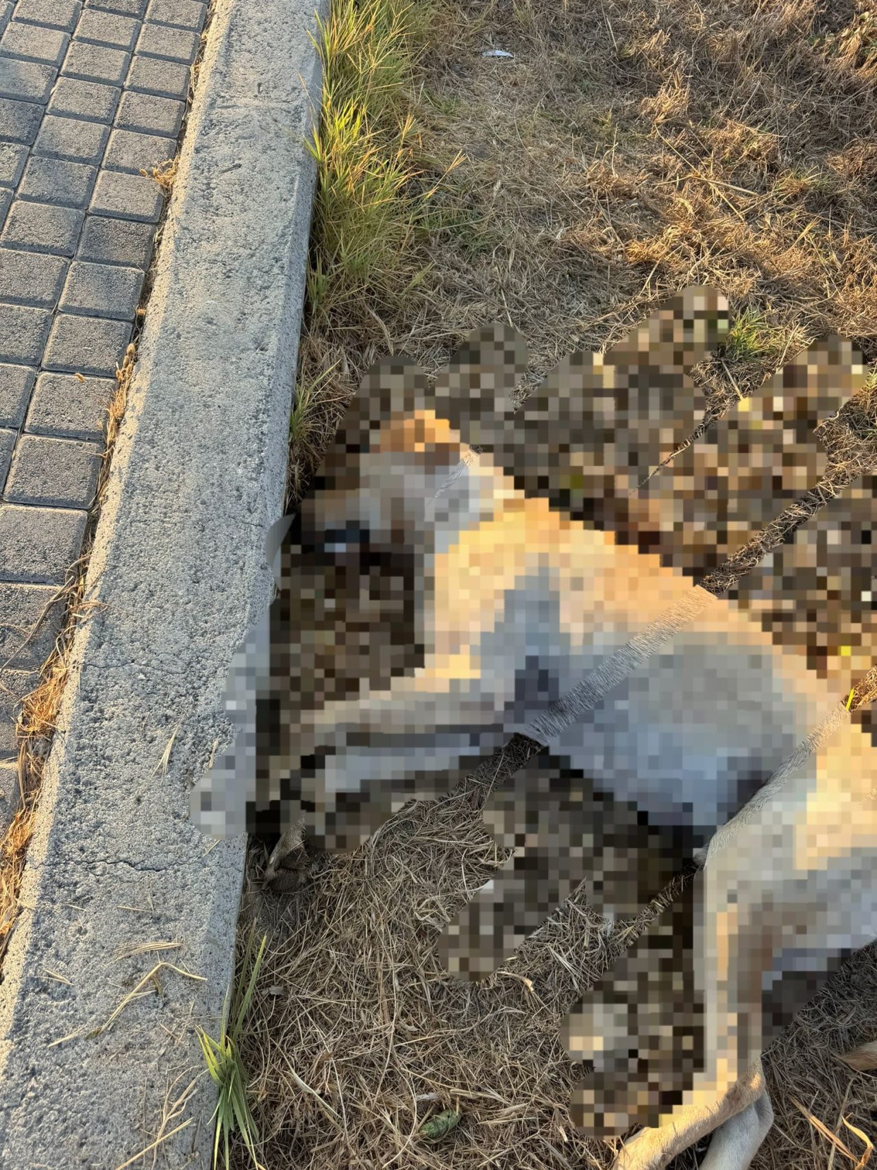 455399837_10160437397128562_4413084661654533037_n