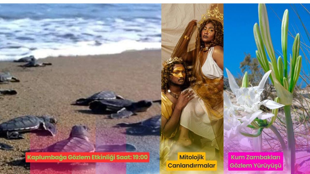 Başlıksız-1 kopya