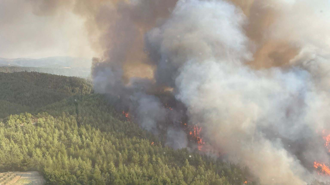 manisadaki-orman-yangini-2-gununde-us9p