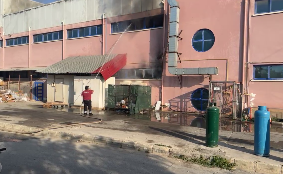 chrome-capture-2025-4-29