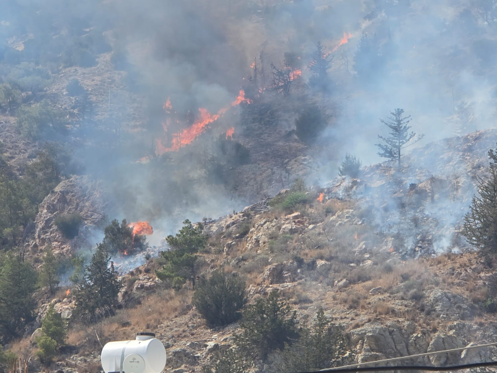 17503202383121750260221199ORMAN-YANGINI-YENI1-3-1024x768