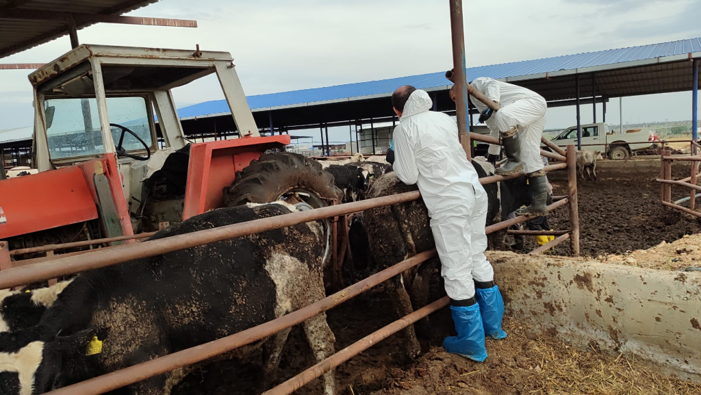 17666566217301766400257241VETERINER-DAIRESI-1024x577